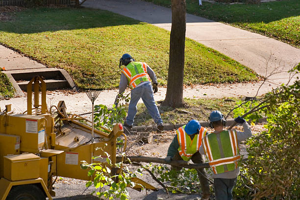 Landscape Design and Installation in Inverness, FL